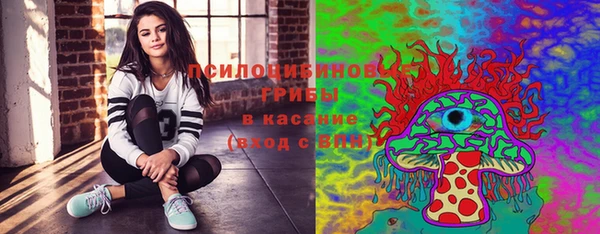 ALPHA-PVP Гусев