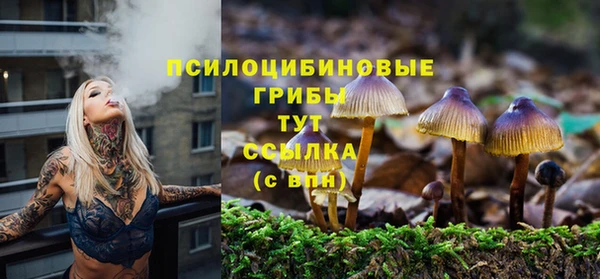 амфетамин Дмитриев
