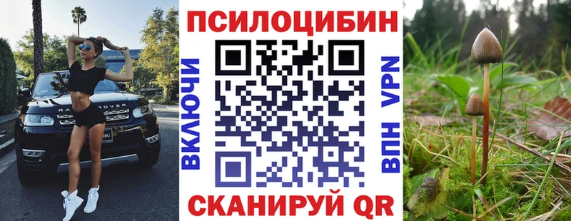 Галлюциногенные грибы Psilocybe  Купить закладки  Талдом 